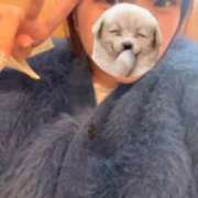 ヒメ日記 2025/10/24 02:37 投稿 天使あおい 五反田ウルトラファンタジー