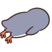 ヒメ日記 2025/12/31 01:22 投稿 ちひろ 大阪はまちゃん 谷九店