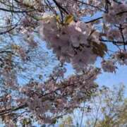 ヒメ日記 2026/04/05 22:22 投稿 ちひろ 手コキ＆オナクラ 大阪はまちゃん 谷九店