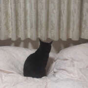 ヒメ日記 2025/12/12 20:46 投稿 みつば ハピネス東京 吉原店