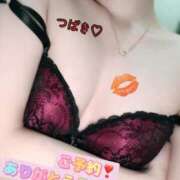 ヒメ日記 2025/10/13 13:01 投稿 つばき 柏人妻花壇