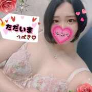 ヒメ日記 2025/11/27 07:01 投稿 つばき 柏人妻花壇