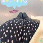 ヒメ日記 2025/11/28 15:33 投稿 つばき 柏人妻花壇