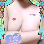 ヒメ日記 2025/11/28 20:33 投稿 つばき 柏人妻花壇