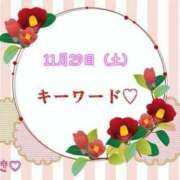 ヒメ日記 2025/11/29 07:00 投稿 つばき 柏人妻花壇