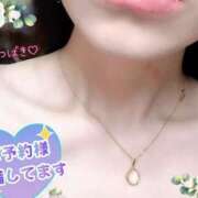 ヒメ日記 2025/11/29 16:59 投稿 つばき 柏人妻花壇