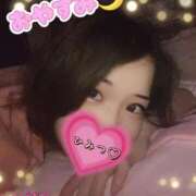 ヒメ日記 2025/11/30 00:15 投稿 つばき 柏人妻花壇