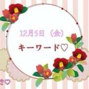 ヒメ日記 2025/12/05 07:01 投稿 つばき 柏人妻花壇