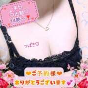 つばき おはよう☀️今日も... 柏人妻花壇