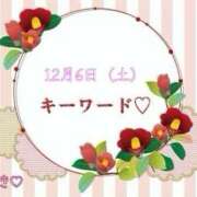 つばき 本日の割引キーワード🈹です❣️ 柏人妻花壇