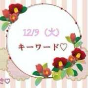 ヒメ日記 2025/12/09 12:05 投稿 つばき 柏人妻花壇