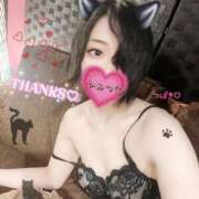 ヒメ日記 2025/12/10 10:00 投稿 つばき 柏人妻花壇