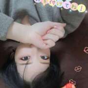 ヒメ日記 2025/12/11 20:56 投稿 つばき 柏人妻花壇