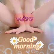 ヒメ日記 2025/12/12 10:01 投稿 つばき 柏人妻花壇