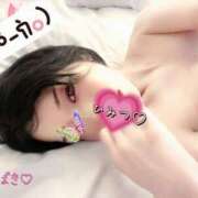 ヒメ日記 2025/12/12 16:46 投稿 つばき 柏人妻花壇