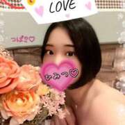 ヒメ日記 2025/12/14 23:45 投稿 つばき 柏人妻花壇