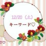 ヒメ日記 2025/12/20 20:14 投稿 つばき 柏人妻花壇
