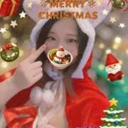 ヒメ日記 2025/12/22 23:35 投稿 つばき 柏人妻花壇