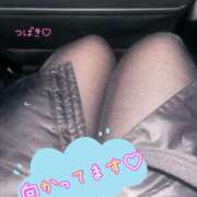 ヒメ日記 2025/12/26 17:12 投稿 つばき 柏人妻花壇