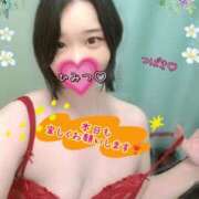 ヒメ日記 2025/12/27 16:50 投稿 つばき 柏人妻花壇