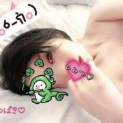 ヒメ日記 2025/12/31 16:40 投稿 つばき 柏人妻花壇