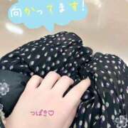 ヒメ日記 2026/01/22 23:31 投稿 つばき 柏人妻花壇