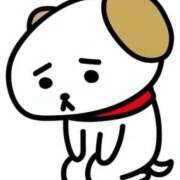 ヒメ日記 2026/01/23 16:26 投稿 つばき 柏人妻花壇