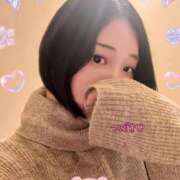 ヒメ日記 2026/02/20 22:17 投稿 つばき 柏人妻花壇