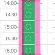 ヒメ日記 2026/02/23 08:56 投稿 つばき 柏人妻花壇