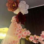 ヒメ日記 2026/03/03 21:02 投稿 つばき 柏人妻花壇