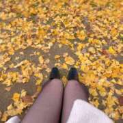 ヒメ日記 2025/12/04 17:55 投稿 せりな スパーク梅田店