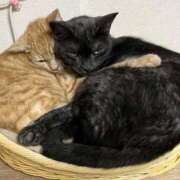 ヒメ日記 2025/10/21 13:04 投稿 いぶき 池袋おかあさん