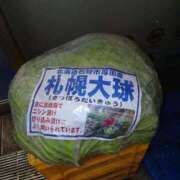 ヒメ日記 2025/12/04 13:54 投稿 いぶき 池袋おかあさん