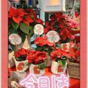 ヒメ日記 2025/12/16 11:54 投稿 いぶき 池袋おかあさん