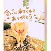 ヒメ日記 2025/12/19 13:59 投稿 いぶき 池袋おかあさん