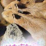 ヒメ日記 2025/12/22 19:54 投稿 いぶき 池袋おかあさん