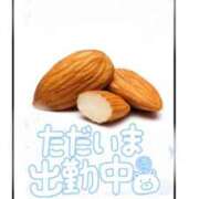 ヒメ日記 2026/01/23 14:14 投稿 いぶき 池袋おかあさん