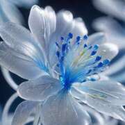 はな 塩煎餅の氏 性腺熟女100％（デリヘル市場）