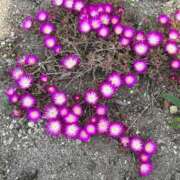 ヒメ日記 2025/10/24 11:03 投稿 進藤 みあ Mの世界