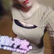 ヒメ日記 2025/10/18 16:55 投稿 二宮つばき セレブ Rex