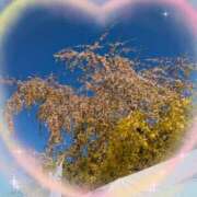 かすみ(昭和49年生まれ) ありがとう 熟年カップル名古屋～生電話からの営み～