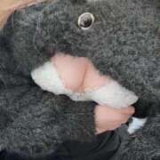 ヒメ日記 2026/02/01 20:41 投稿 まいか スパーク日本橋