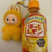 ヒメ日記 2026/03/06 23:47 投稿 まいか スパーク日本橋