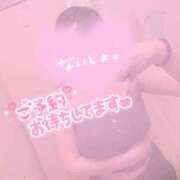ヒメ日記 2026/08/14 20:44 投稿 あまな One More奥様　蒲田店