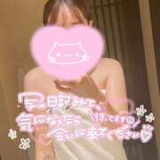 てんか 🩷出勤🩷 One More奥様　蒲田店