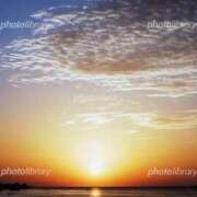 ヒメ日記 2025/10/25 17:40 投稿 つみき(ニューハーフ) 水戸人妻花壇