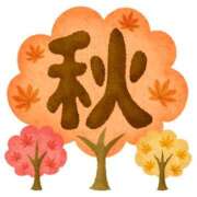 ヒメ日記 2025/11/24 16:34 投稿 つみき(ニューハーフ) 水戸人妻花壇