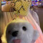 ヒメ日記 2026/01/23 12:39 投稿 ひな MAHARAJA(マハラジャ)千葉