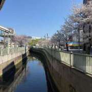 ヒメ日記 2026/04/04 14:04 投稿 ひな MAHARAJA(マハラジャ)千葉