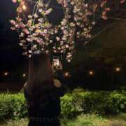 ヒメ日記 2026/04/15 07:30 投稿 ひな MAHARAJA(マハラジャ)千葉